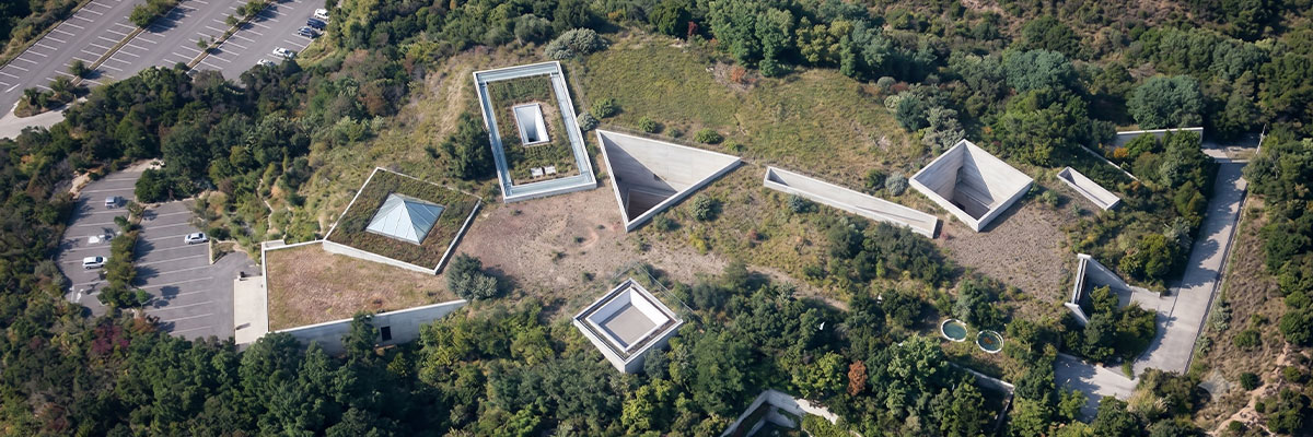 直島・地中美術館で、光とともにモネの「睡蓮」に出会う