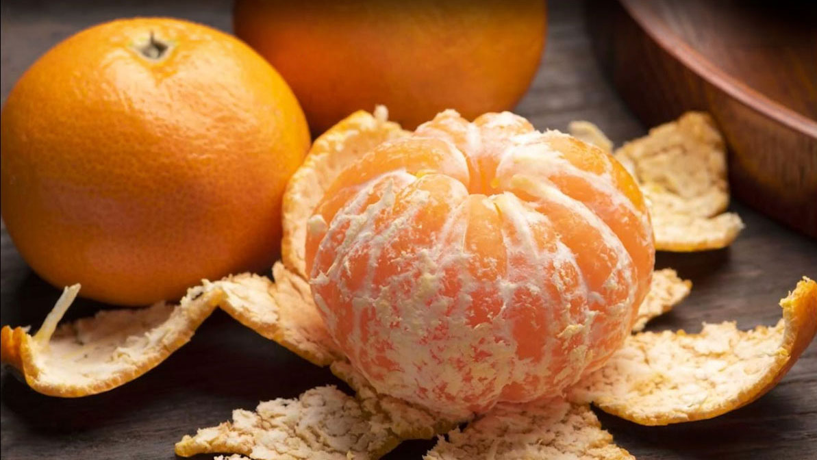 お遍路の歴史・由来