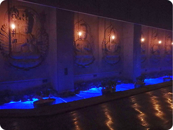 フォトギャラリー