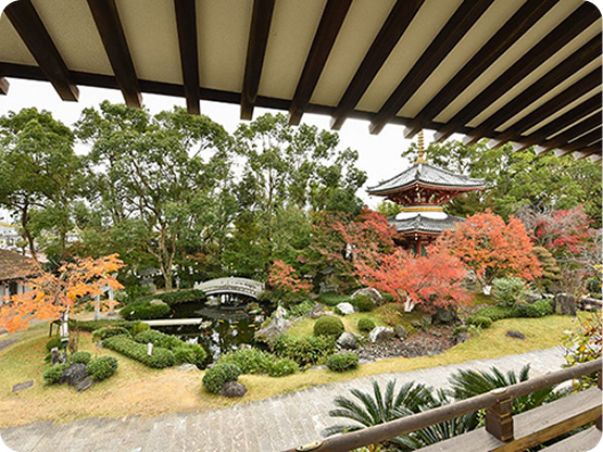 フォトギャラリー