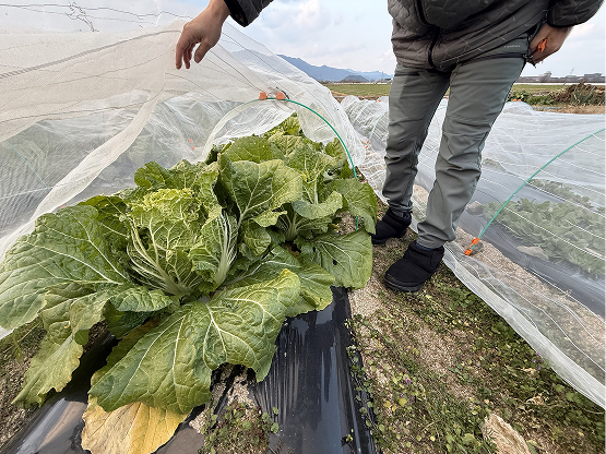 フォトギャラリー