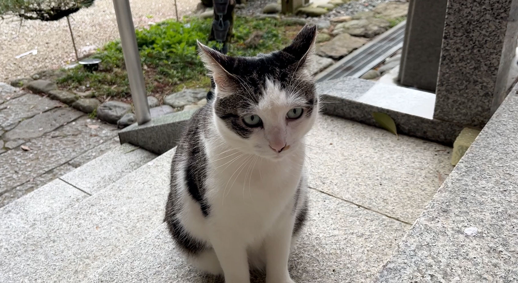 Vol14.ちょっと寄り道 お松大権現、猫神様のいる神社