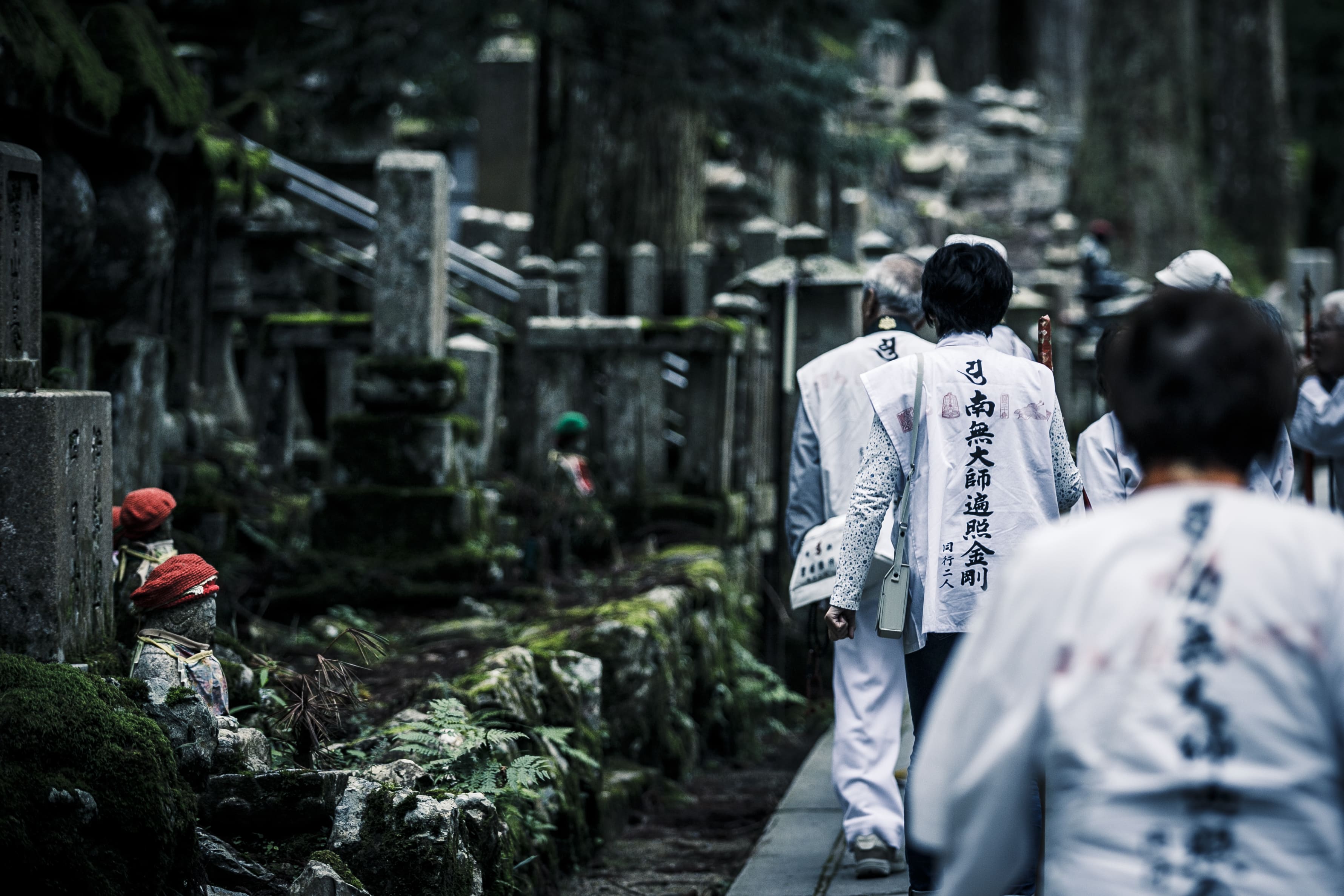 スペシャルコンテンツ