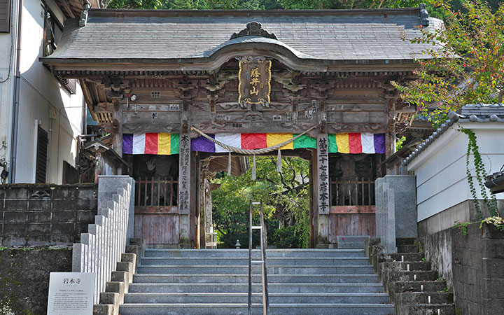 藤井山 岩本寺